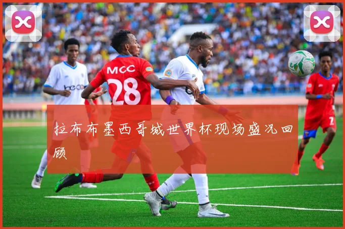 拉布布墨西哥城世界杯现场盛况回顾