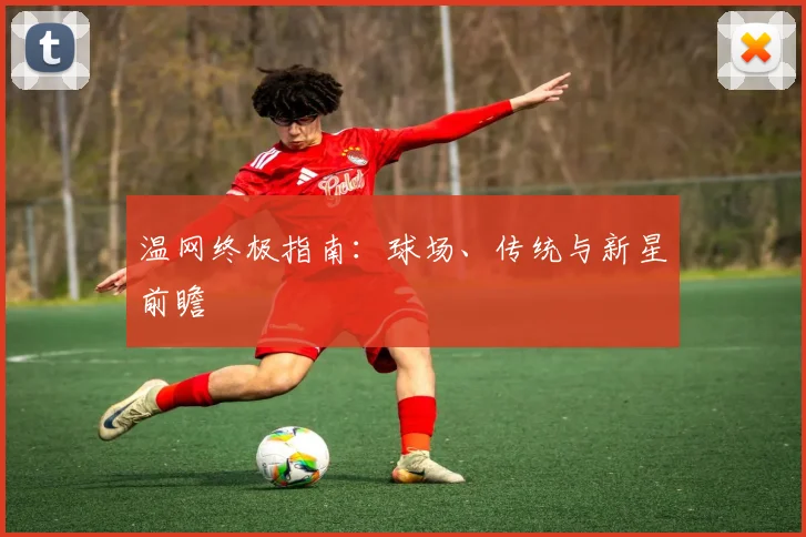 温网终极指南：球场、传统与新星前瞻